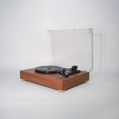 Vinyl Record Player