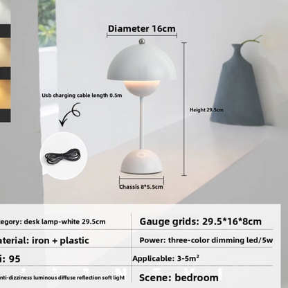 LED Desk Lamp