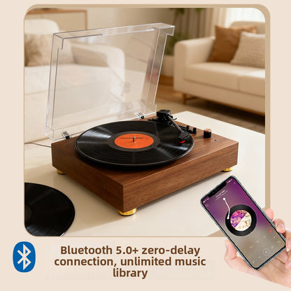 Vinyl Record Player